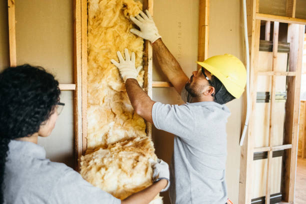 Best Soundproof Insulation  in Livingston, TX